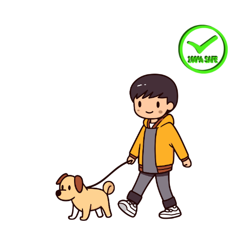 Dog Walking Insurance